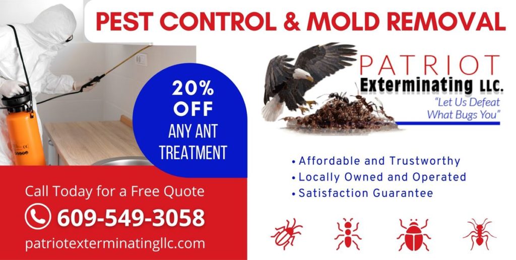 ocean county ant removal 