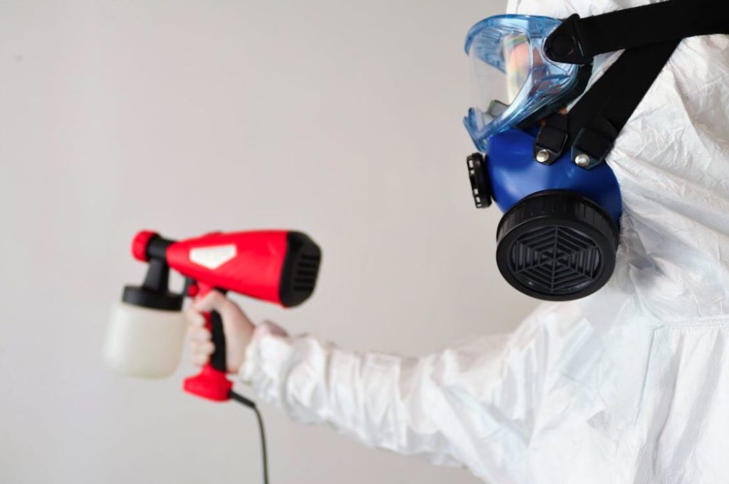 mold removal in ocean county new jersey