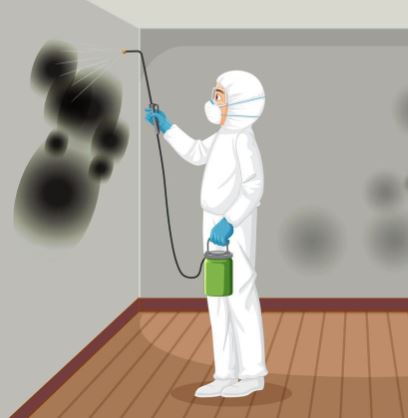 mold removal new jersey
