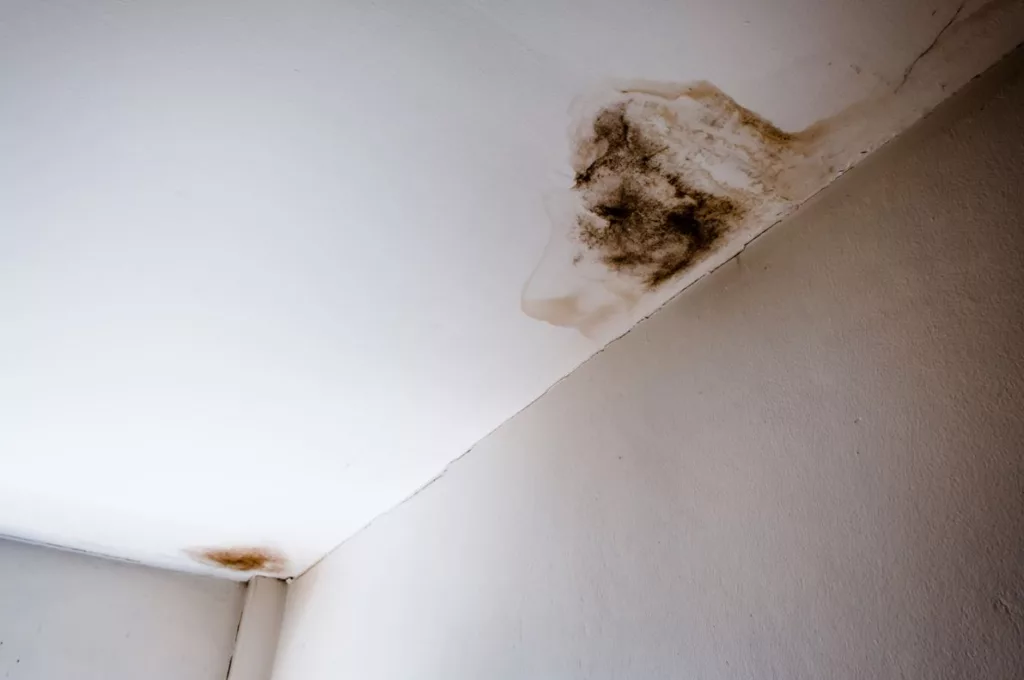 moldy ceiling water damage ocean county nj