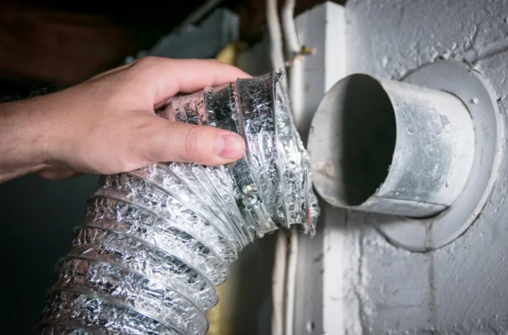 nj mold removal services because of dryer vent
